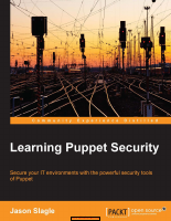 Learning_Puppet_Security__Secure.pdf